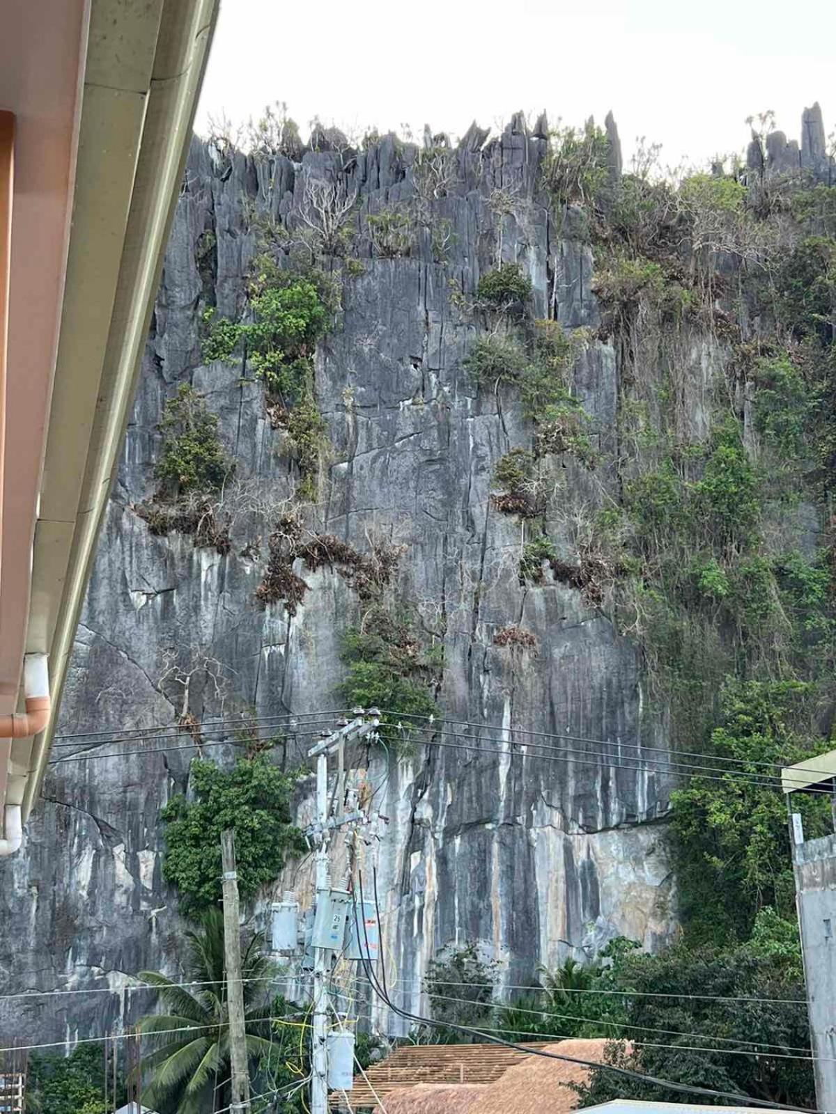Vencejos Inn - El Nido Extérieur photo